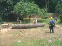 thumbs/img_3934.jpg