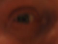 thumbs/img_3990.jpg