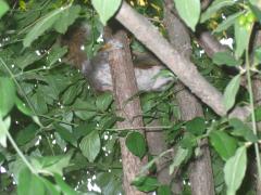 thumbs/img_4082.jpg