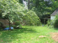 thumbs/img_4252.jpg
