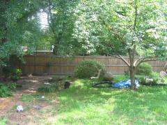 thumbs/img_4253.jpg