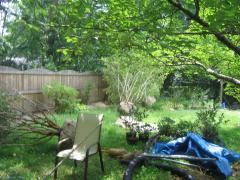 thumbs/img_4256.jpg