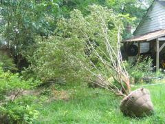 thumbs/img_4257.jpg