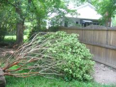 thumbs/img_4258.jpg