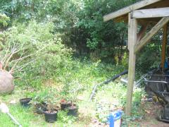 thumbs/img_4260.jpg