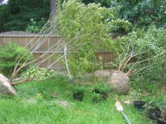 thumbs/img_4261.jpg