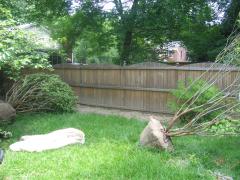 thumbs/img_4262.jpg