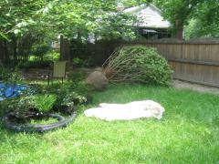 thumbs/img_4263.jpg