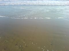thumbs/dsc00976.jpg