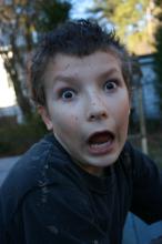 thumbs/pic20070106T154414.jpg