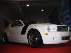 thumbs/pic20070318T151314.JPG.jpg