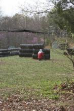 thumbs/pic20070331T150414.JPG.jpg