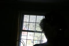 thumbs/img_5830.jpg.jpg