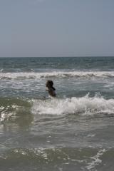 thumbs/img_6112.jpg.jpg