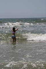 thumbs/img_6113.jpg.jpg