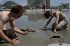 thumbs/img_6125.jpg.jpg