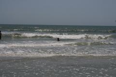 thumbs/img_6148.jpg.jpg