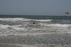 thumbs/img_6150.jpg.jpg