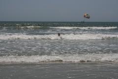thumbs/img_6151.jpg.jpg