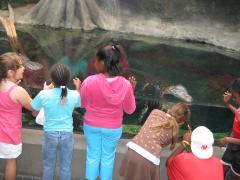 thumbs/img_5278.jpg.jpg