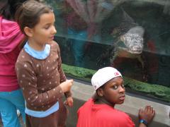 thumbs/img_5279.jpg.jpg
