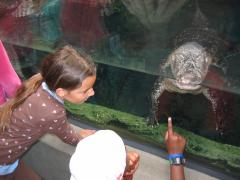 thumbs/img_5280.jpg.jpg