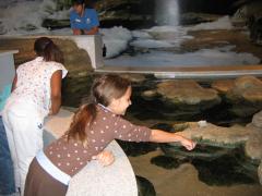 thumbs/img_5281.jpg.jpg