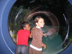 thumbs/img_5282.jpg.jpg