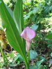 thumbs/IMG_5318.JPG.jpg