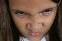thumbs/img_6246.jpg.jpg