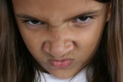 thumbs/img_6247.jpg.jpg