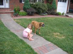 thumbs/img_5414.jpg.jpg