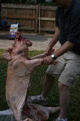 thumbs/img_6265.jpg.jpg