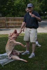 thumbs/img_6266.jpg.jpg