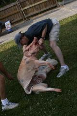 thumbs/img_6267.jpg.jpg