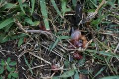 thumbs/img_6276.jpg.jpg