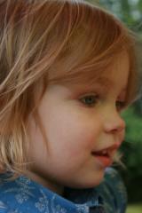 thumbs/img_6288.jpg.jpg