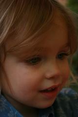 thumbs/img_6290.jpg.jpg