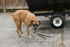 thumbs/img_6321.jpg.jpg