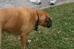 thumbs/img_6322.jpg.jpg