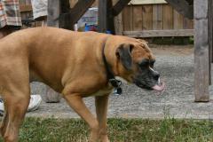 thumbs/img_6323.jpg.jpg