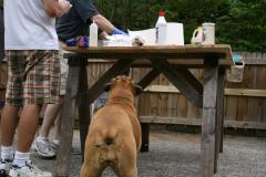 thumbs/img_6324.jpg.jpg