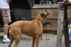 thumbs/img_6325.jpg.jpg