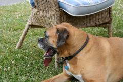 thumbs/img_6328.jpg.jpg