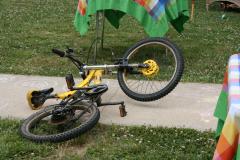 thumbs/img_6339.jpg.jpg