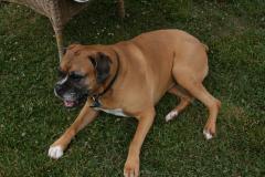 thumbs/img_6345.jpg.jpg