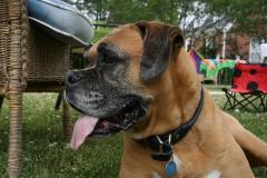thumbs/img_6347.jpg.jpg