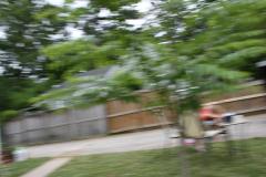 thumbs/img_6369.jpg.jpg