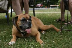 thumbs/img_6374.jpg.jpg