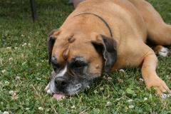 thumbs/img_6375.jpg.jpg